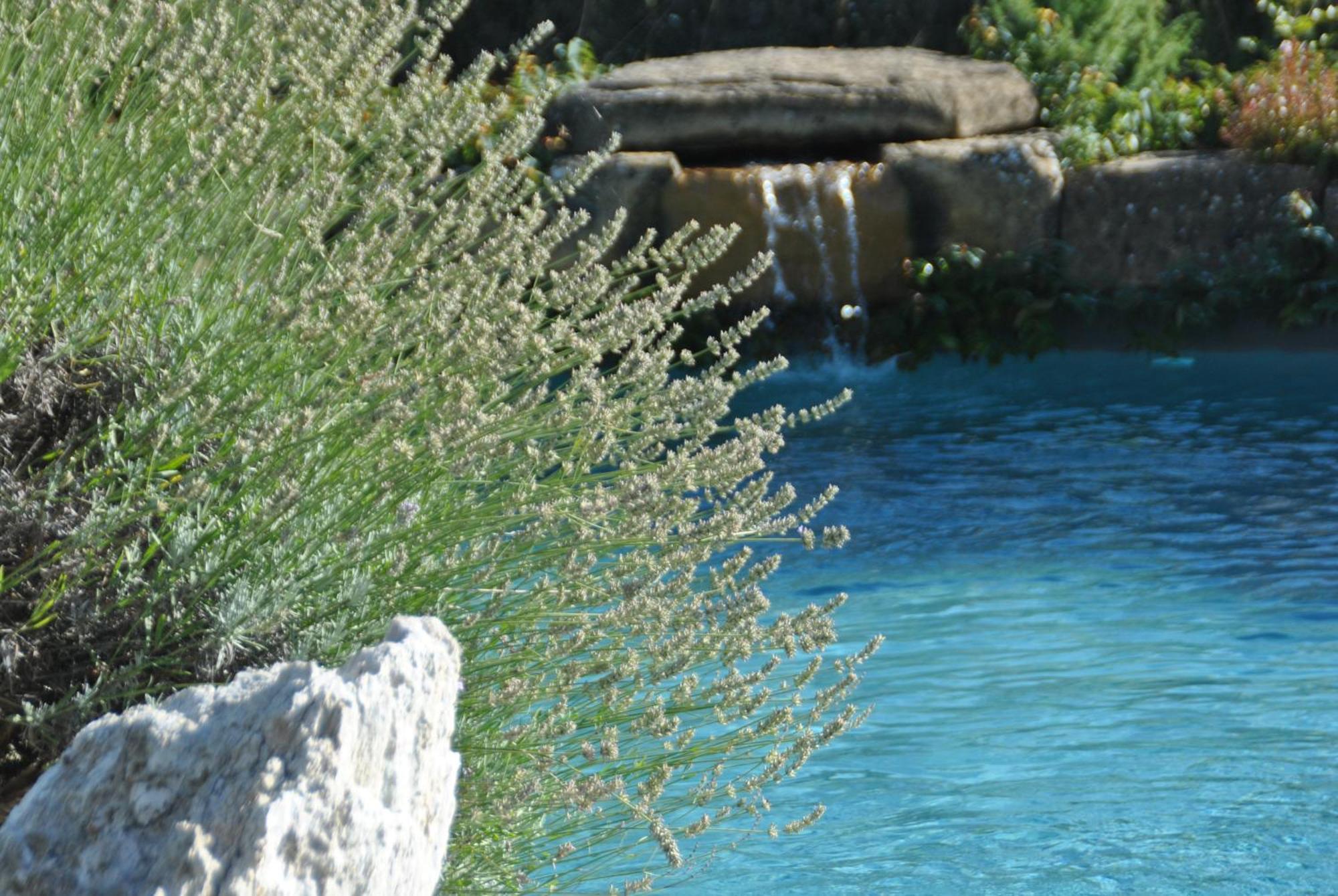 Agriturismo Campo Del Pillo Pietradura Екстериор снимка