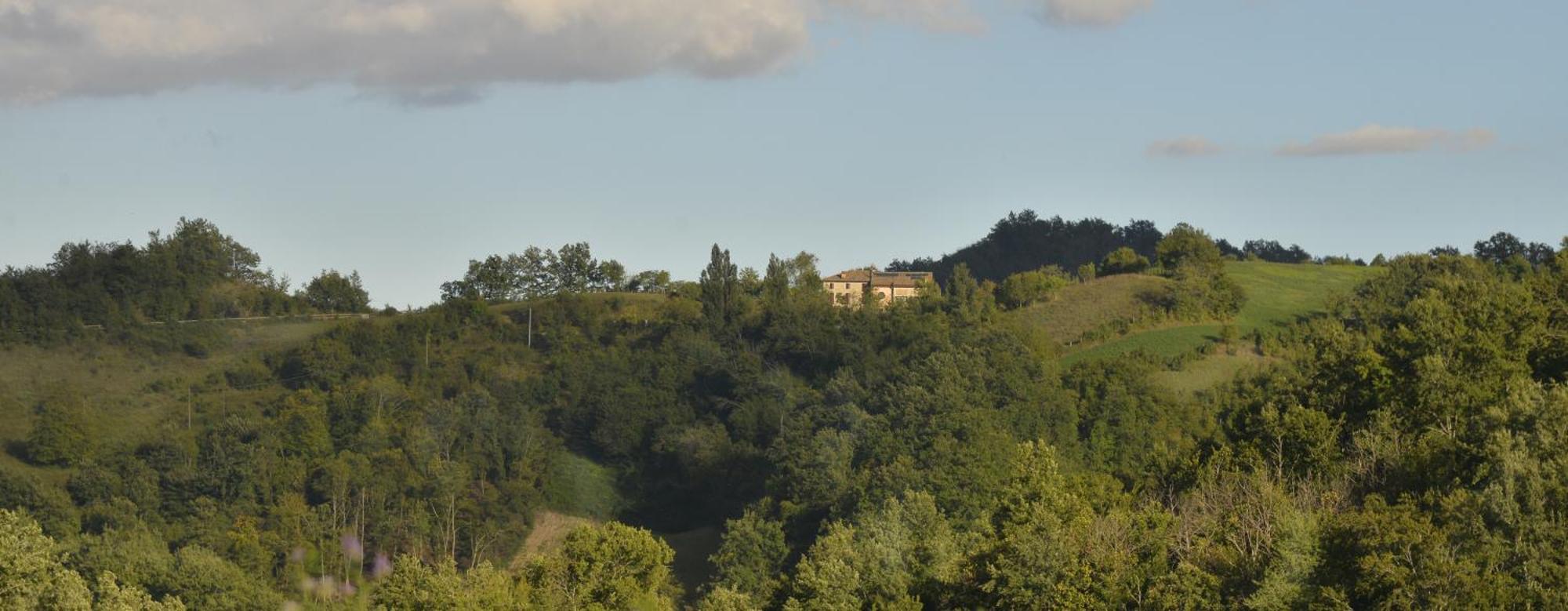 Agriturismo Campo Del Pillo Pietradura Екстериор снимка