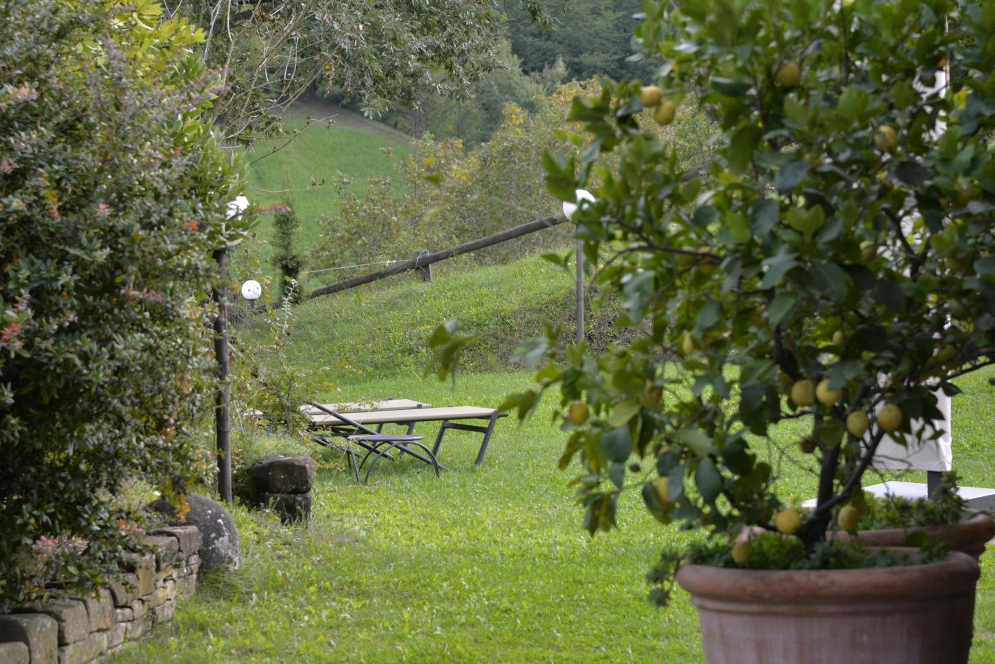 Agriturismo Campo Del Pillo Pietradura Екстериор снимка
