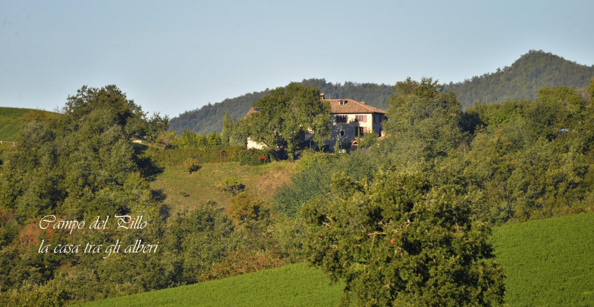 Agriturismo Campo Del Pillo Pietradura Екстериор снимка