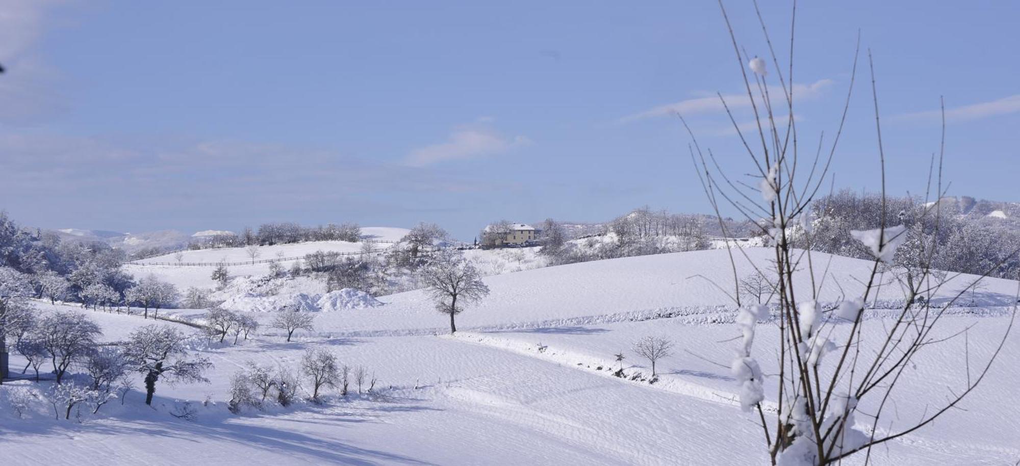 Agriturismo Campo Del Pillo Pietradura Екстериор снимка
