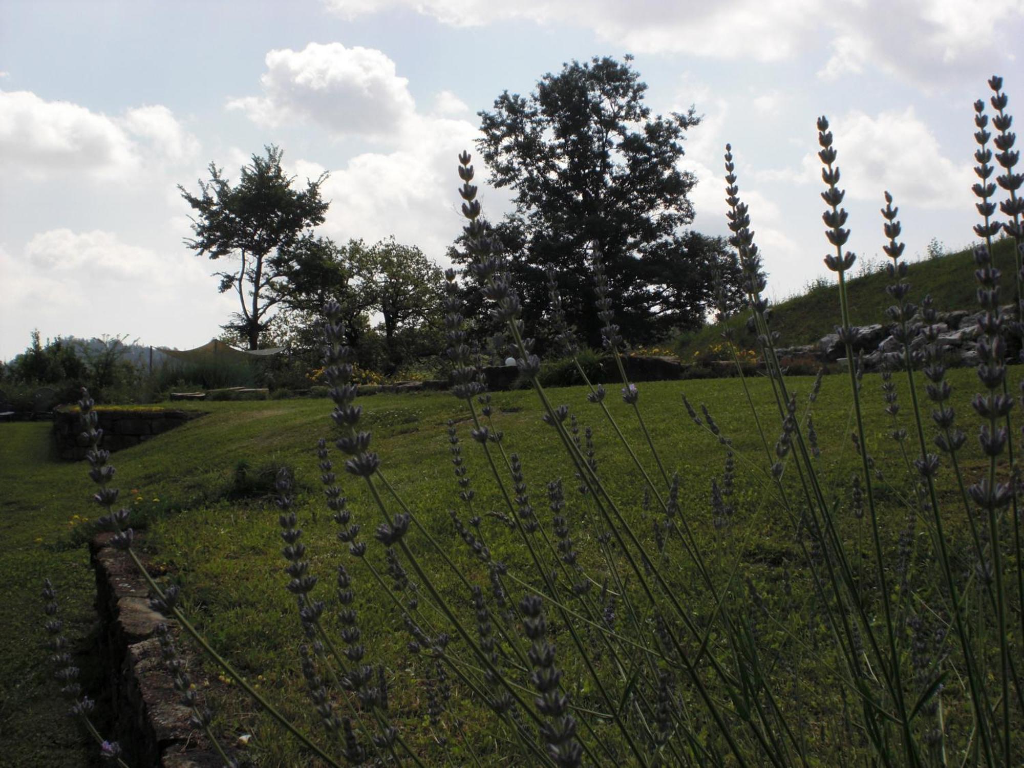 Agriturismo Campo Del Pillo Pietradura Екстериор снимка